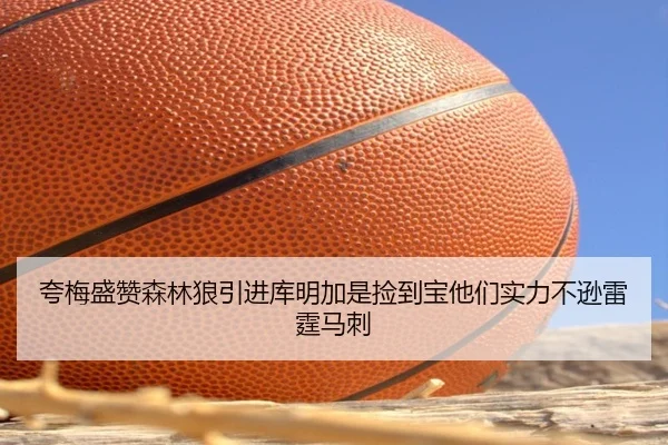 夸梅盛赞森林狼引进库明加是捡到宝他们实力不逊雷霆马刺
